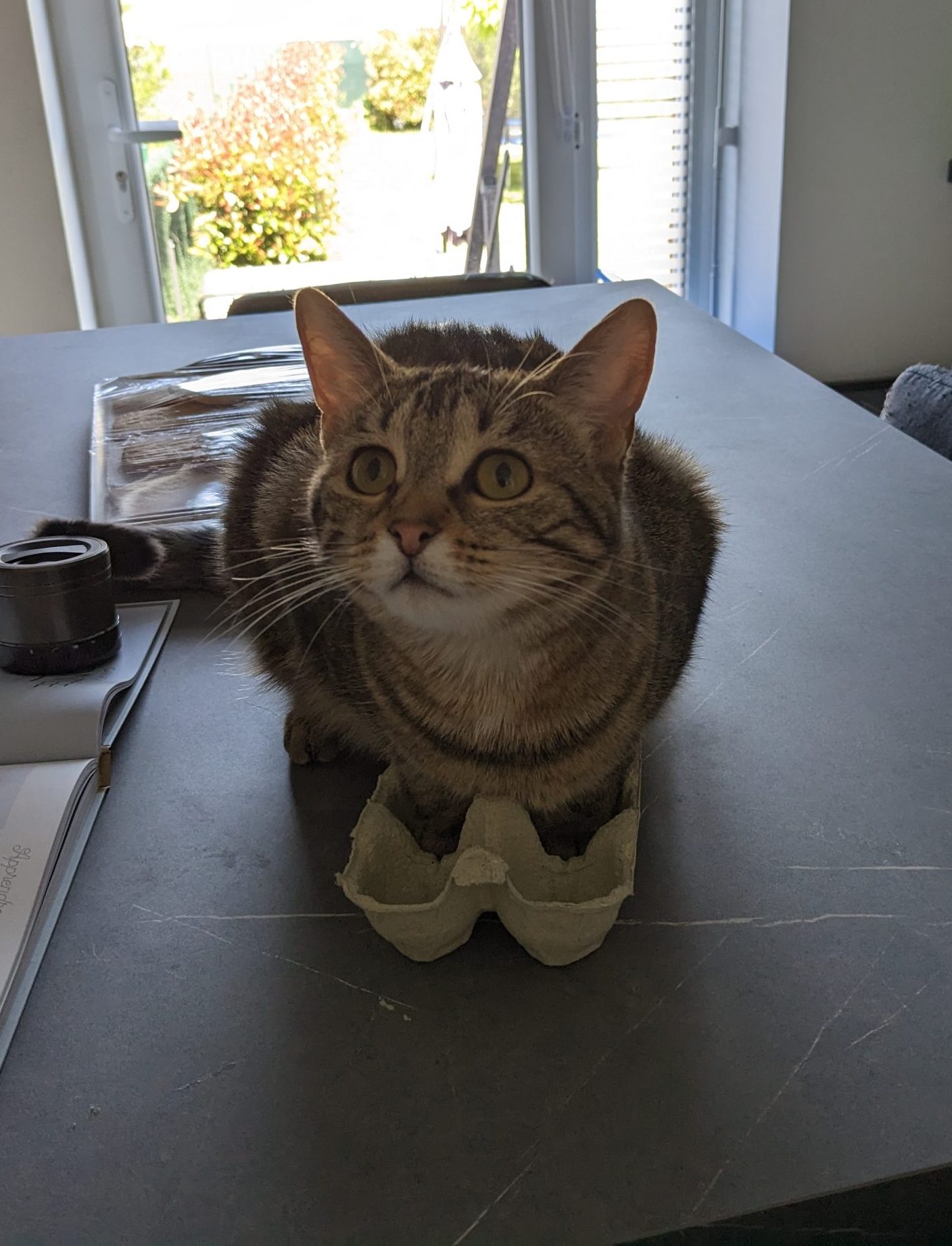 17. Louna se prend pour une poule de Pâques
